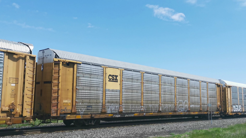 CSXT B11455 (Body) TTGX 941110 (Flat)